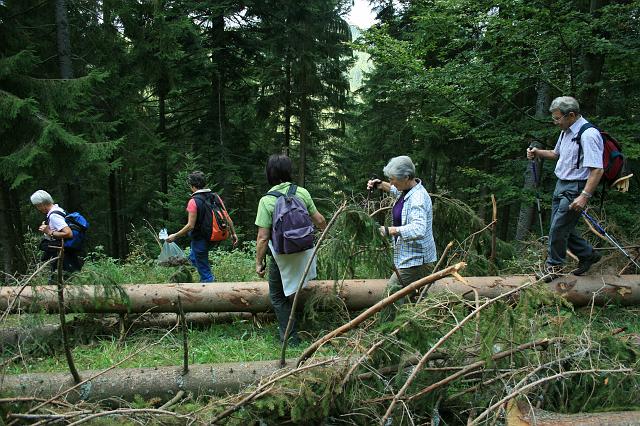 Kniebis 2009 Bild 23